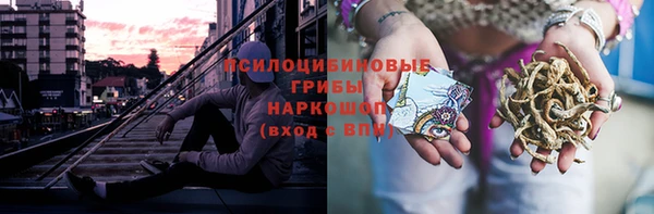 трава Гусиноозёрск