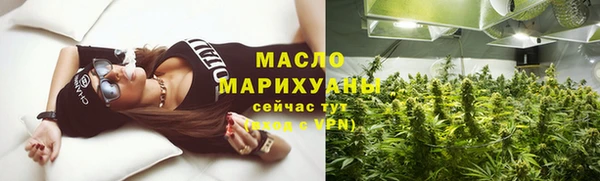 трава Гусиноозёрск