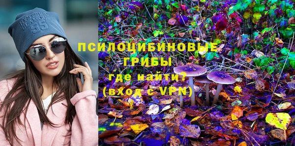 дурь Гусь-Хрустальный