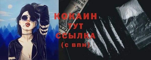 Альфа ПВП Гусев