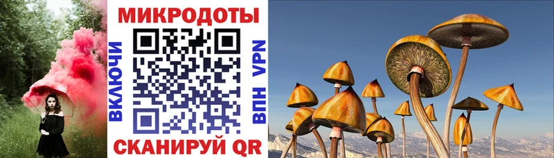 где можно купить   Дубовка  ОМГ ОМГ ссылка  Галлюциногенные грибы Cubensis 
